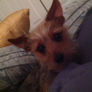 Meet your Posher, Nancy